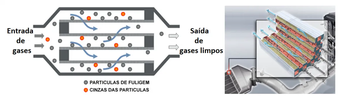 Figura 1